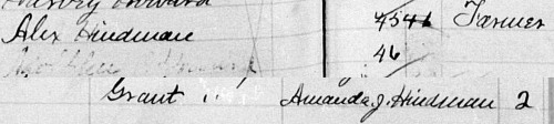 West Virginia Birth Record 1871 - cropped
